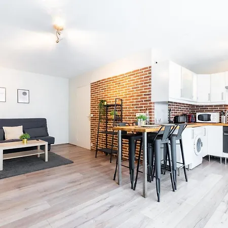Apartment 1 Bedroom Center Lille