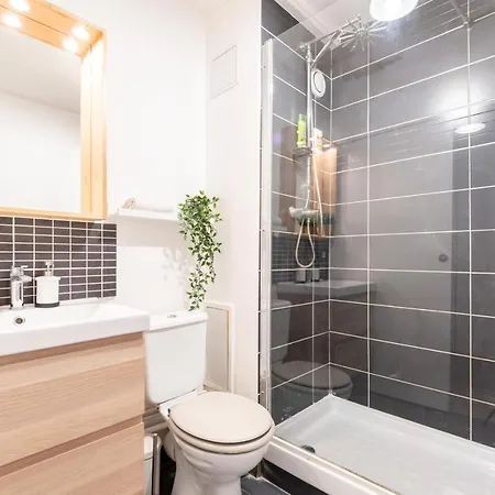 Apartment 1 Bedroom Center Lille